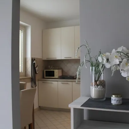 Apartman Danex Sunny Punta